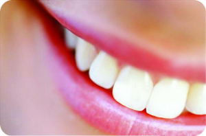 teeth teeth