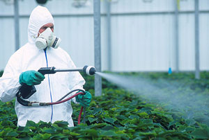 Pesticidet shkaktojnë tumor nё tru 