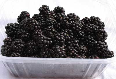 blackberry-fruit