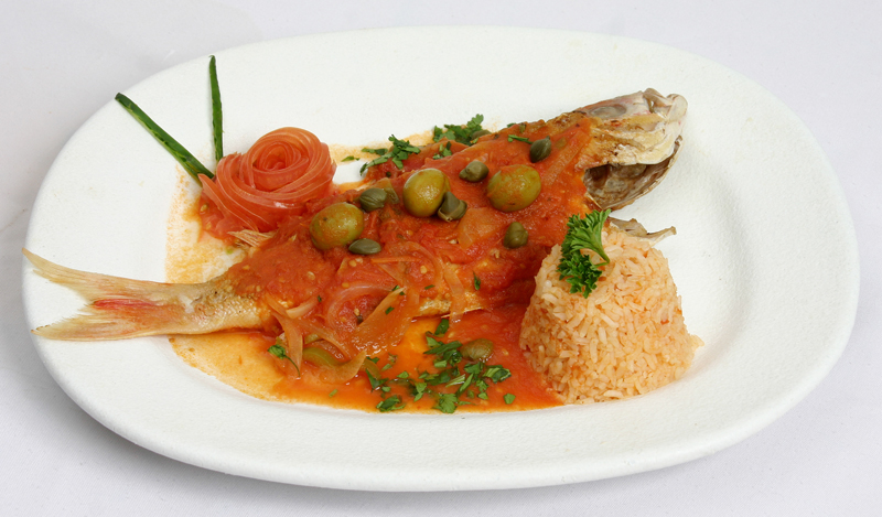 Ushqimi Për Një Jetë Të Shëndetshme Keshilla Net