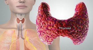 Zbulohet kura për tiroidet